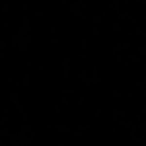 Meet your Posher, Emilee